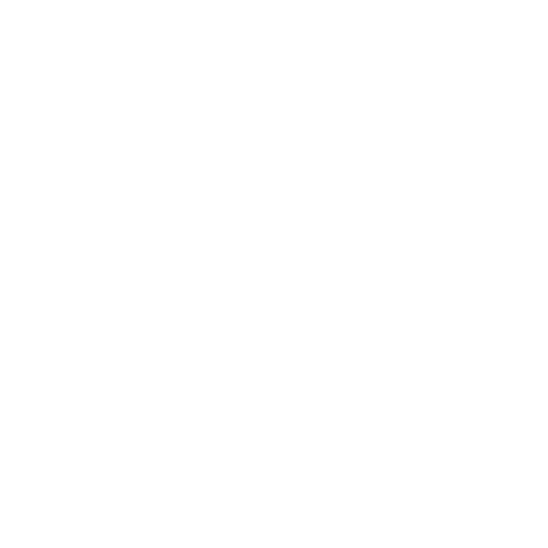 SlimSmth